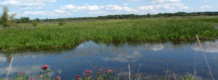 Outagamie Wildlife Area