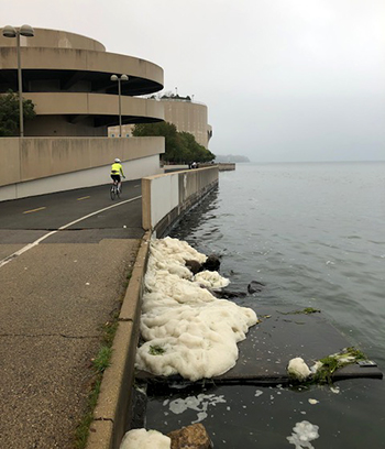 Foam sighting along shores of Lake Monona in Madison, WI.