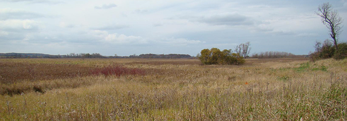 Peter Helland Wildlife Area