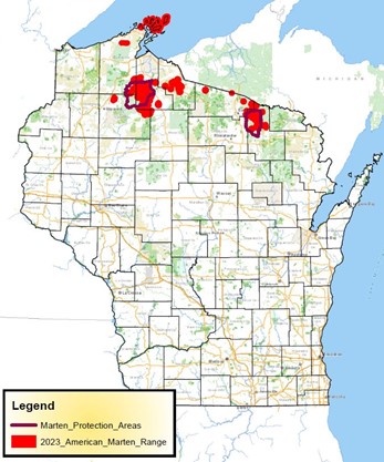 A map of Wisconsin shows the three pine marten populations in red, located in the northernmost sections of the state.