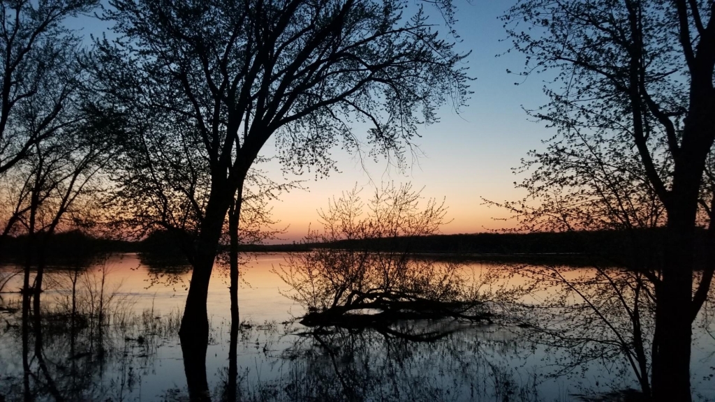 Pine Island Wildlife Area