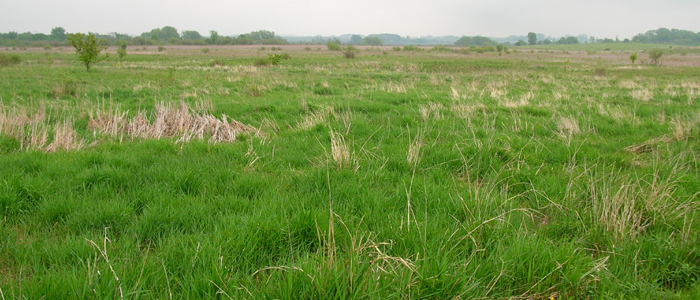 Pleasant Valley Wildlife Area