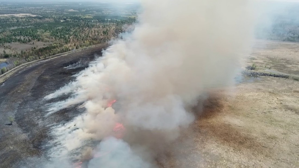 Prescribed burn at Lake Wazee County Park