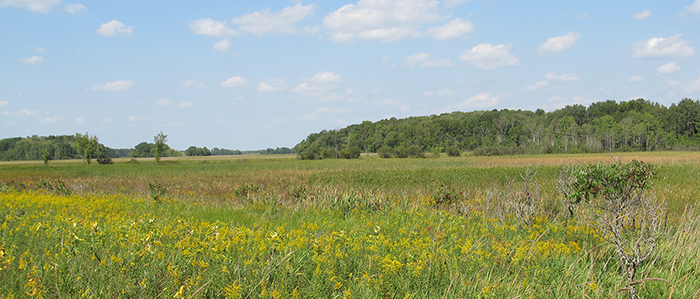 Rome Pond Wildlife Area