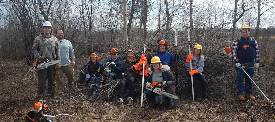 Volunteers at work