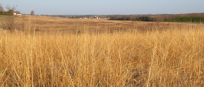 Schmit Wildlife Area