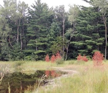 Seepage lakes and streams are susceptible to fluctuate water levels based on groundwater availability. 