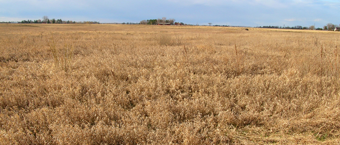 Sette Wildlife Area