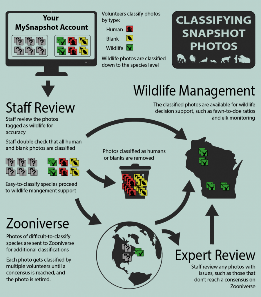 Diagram of Snapshot's Classification Process