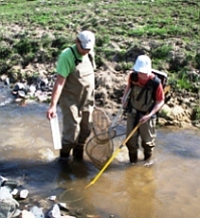 DNR staff wearing waders collecting water samples in Squaw Creek.