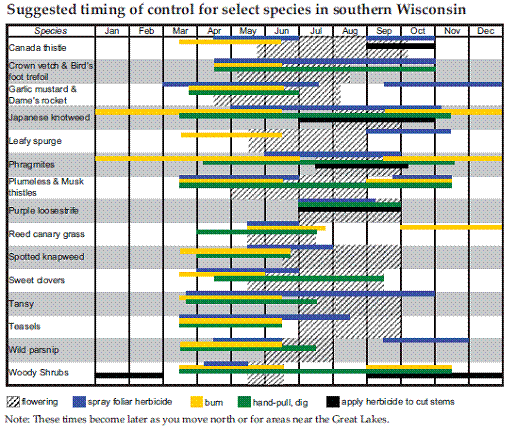 Suggested timing of control of invasives