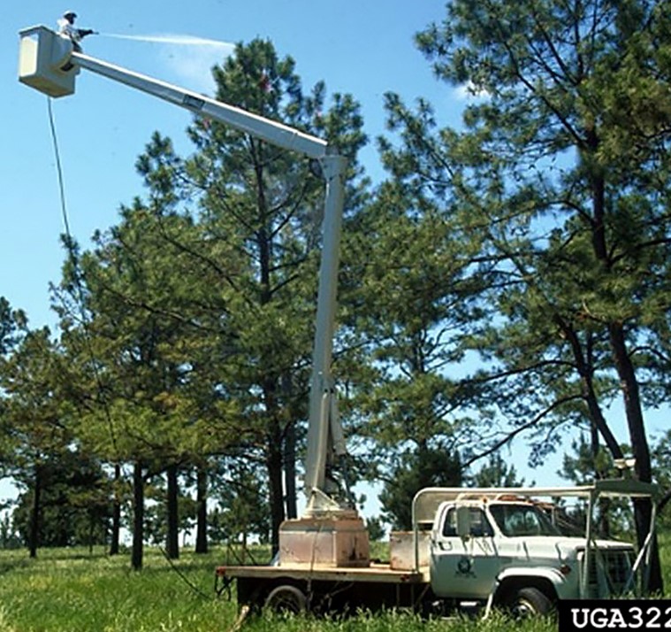 A person spraying a tree for spongy moth from a mechanical crane.