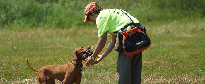 dog handler