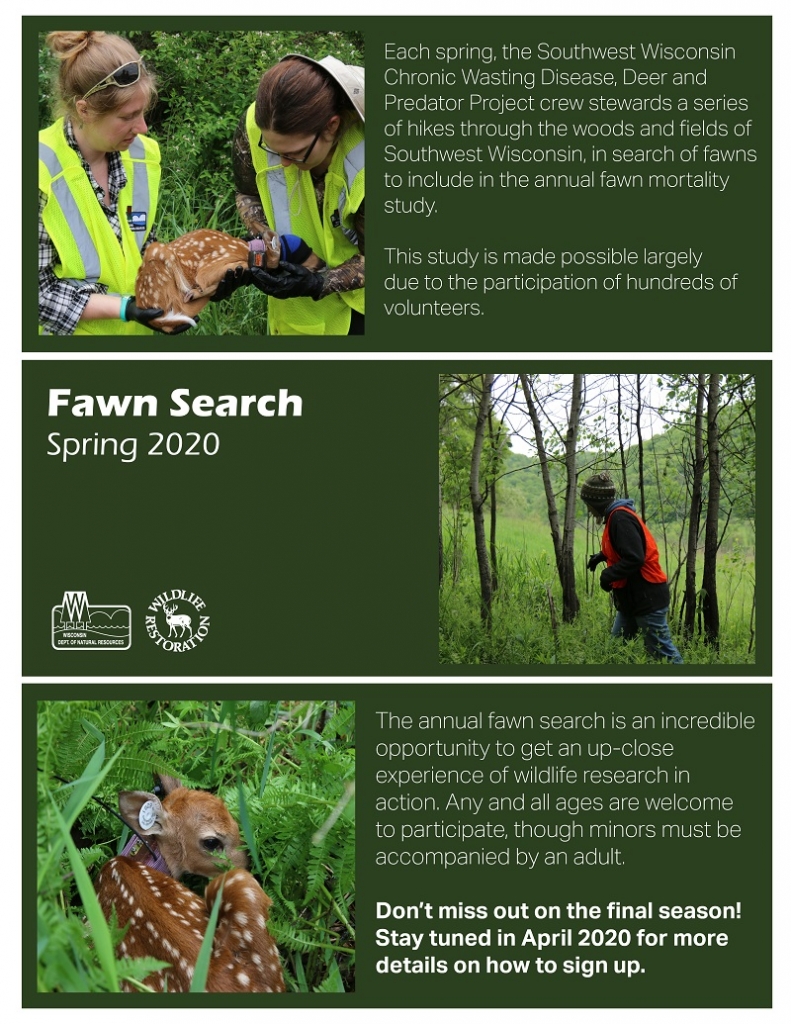 Fawn Search info graph