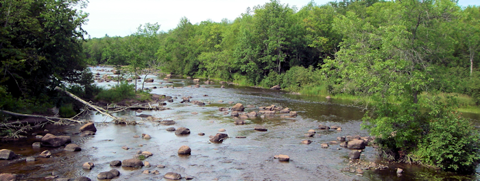 Wolf River Fishery Area