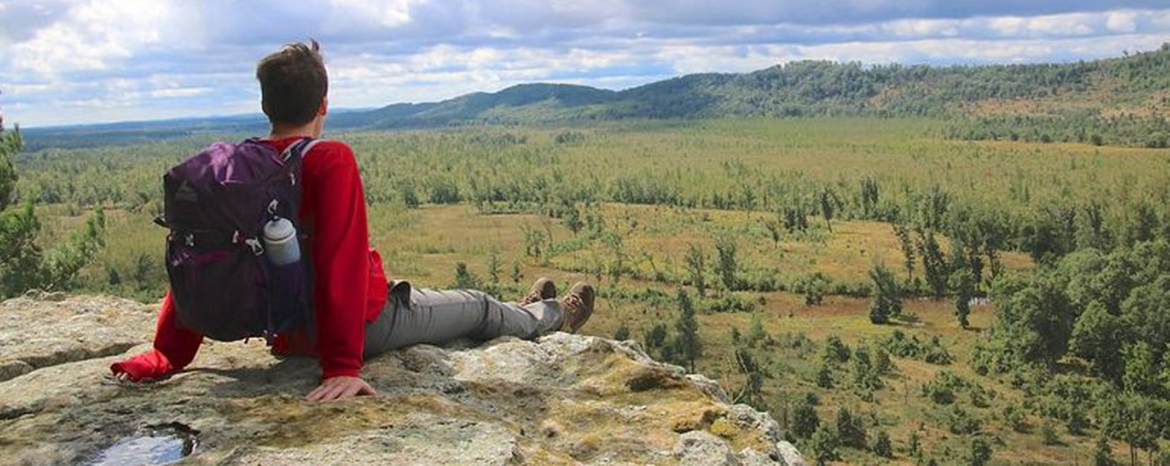 Man overlooking public land