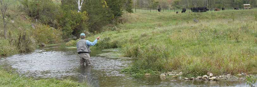 La Crosse Bad Axe Kickapoo Streambank