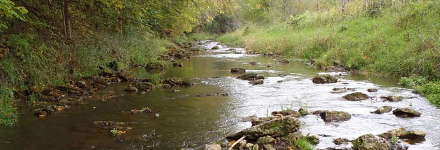 Black River Streambank