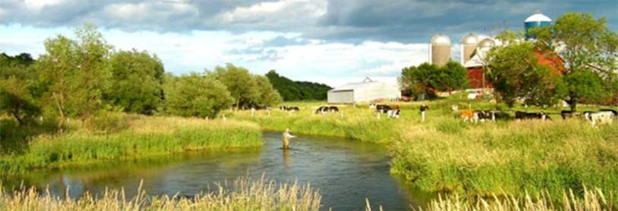 SouthWestern Wisconsin Trout Streambank