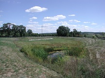 Infiltration and Bioretention Basin