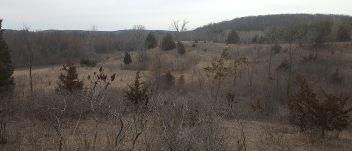 LaBudde Creek Fishery Area