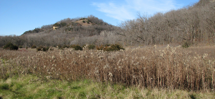 Lake Pepin Wildlife Area