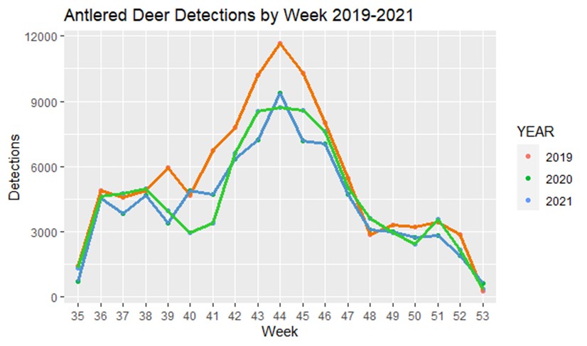 Line Graph by Mira Johnson