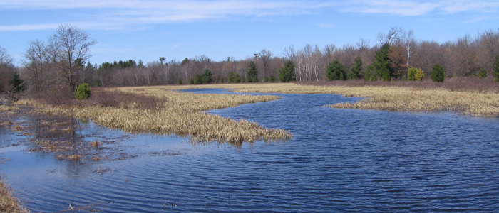 Meadow Valley Wildlife Area