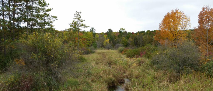 Nichols Creek Wildlife Area