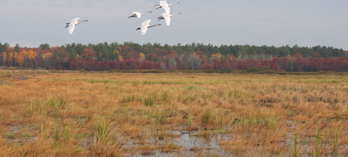 Powell Wildlife Area