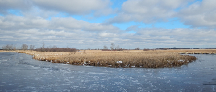 Poygan Marsh Wildlife Area