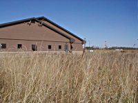 Native prairie planting by a small business