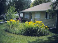 Rain garden with yellow wildflowers near a house