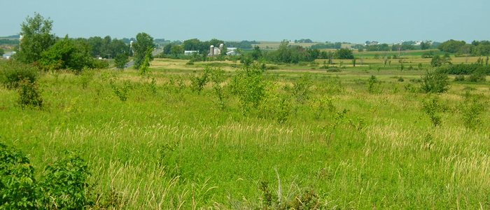 Ray Extensive Wildlife Area