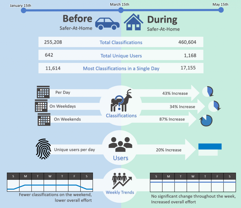 Safer at home graphic