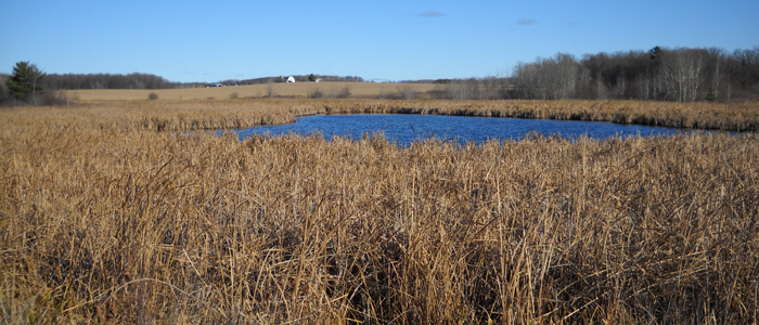 Sampson Wildlife Area