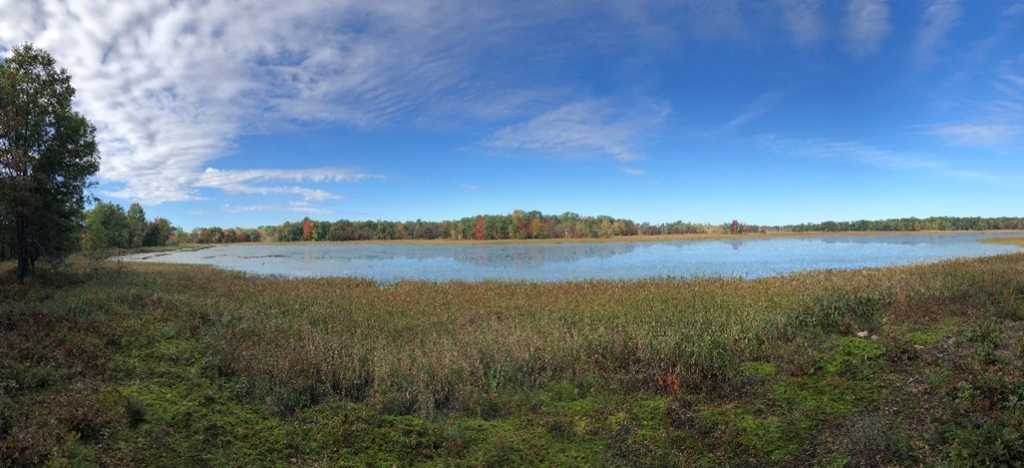 View over a flowage in the Sandhill Wildlife Area