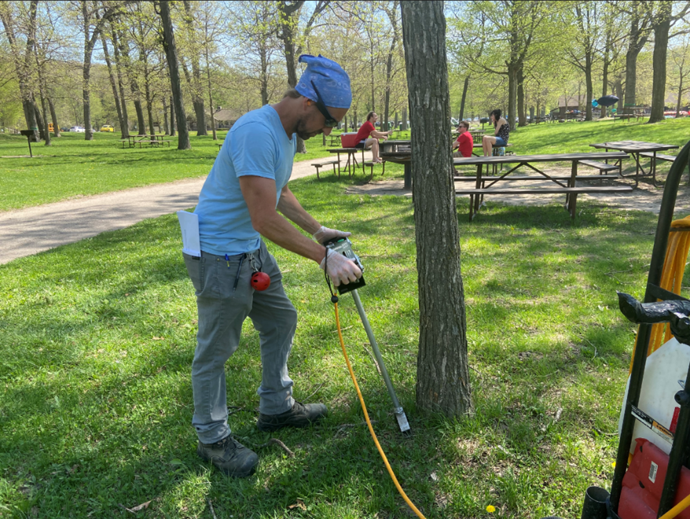 A man standing in front of a small tree, performing a soil injection.