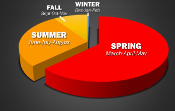 A graph showing the average number of Wisconsin wildfires by season in the last 10 years.