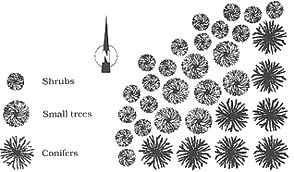 Example of clump planting for wildlife.